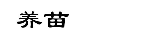 养苗