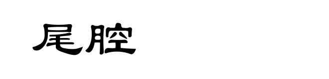 尾腔