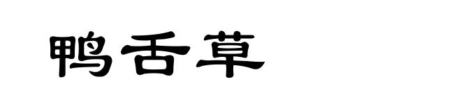 鸭舌草