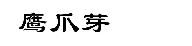 鹰爪芽