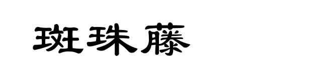 斑珠藤