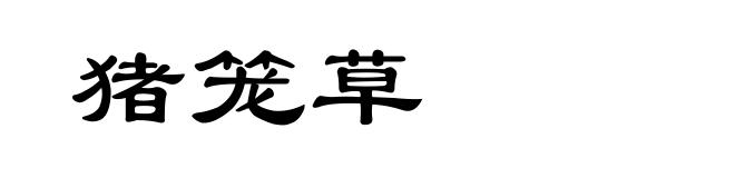 猪笼草