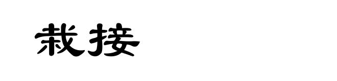栽接