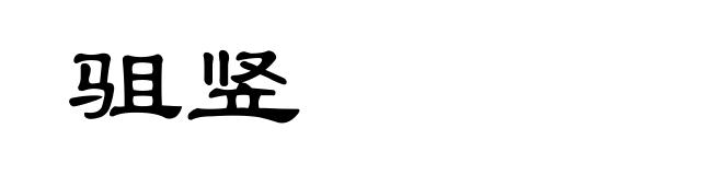 驵竖