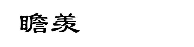 瞻羡