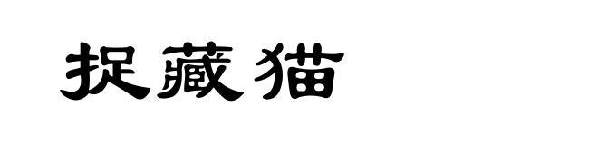 捉藏猫