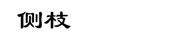 侧枝