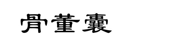 骨董囊