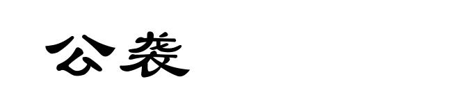 公袭