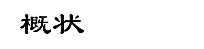 概状