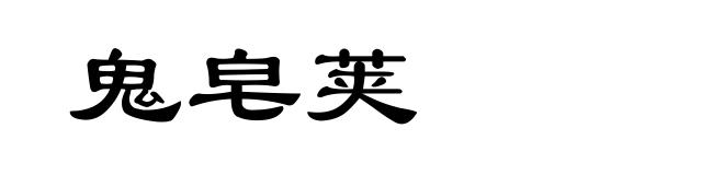 鬼皂荚
