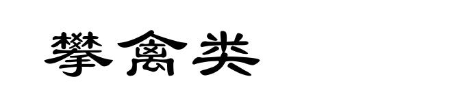 攀禽类