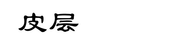 皮层