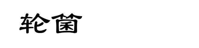 轮箘