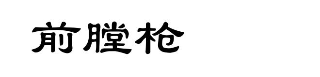 前膛枪