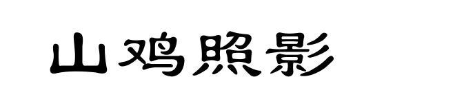 山鸡照影