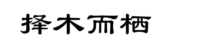 择木而栖