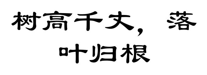 树高千丈,落叶归根