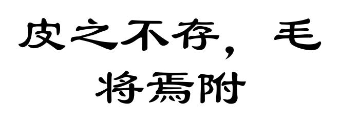 皮之不存,毛将焉附