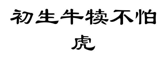 初生牛犊不怕虎