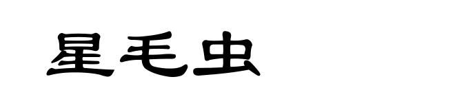 星毛虫