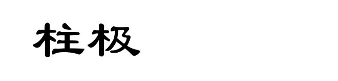 柱极