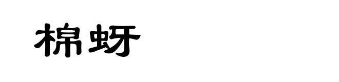 棉蚜