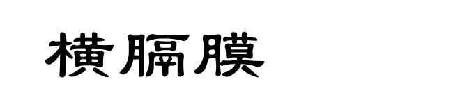 横膈膜
