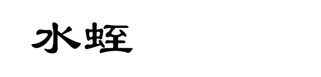 水蛭