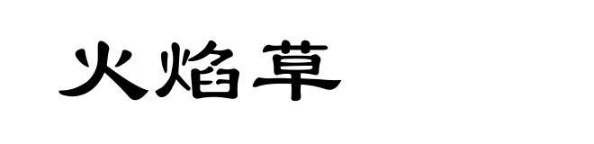 火焰草