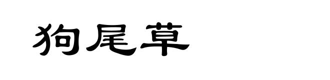 狗尾草