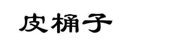 皮桶子