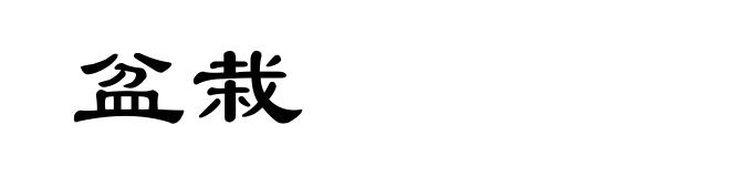 盆栽