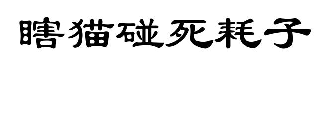 瞎猫碰死耗子