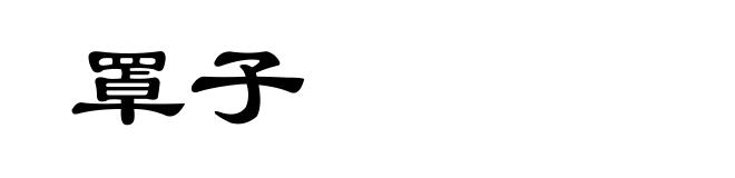 罩子