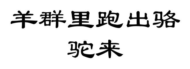 羊群里跑出骆驼来