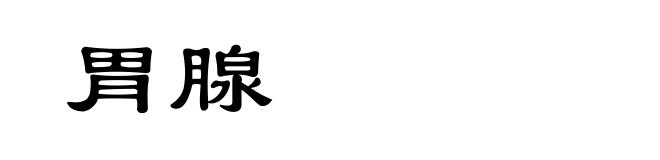 胃腺