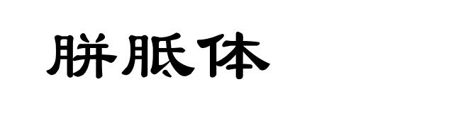 胼胝体