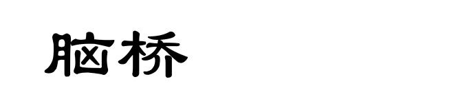 脑桥