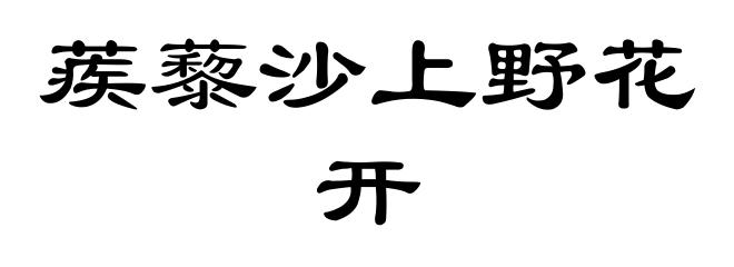 蒺藜沙上野花开
