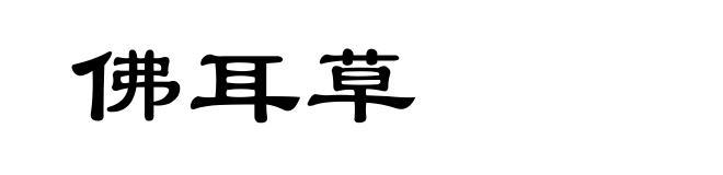 佛耳草