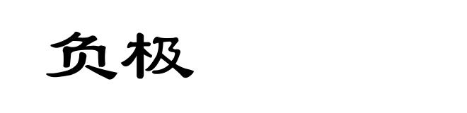 负极