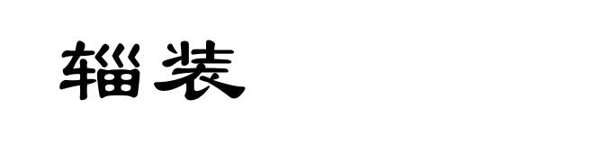 辎装
