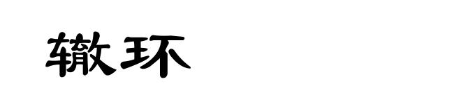 辙环