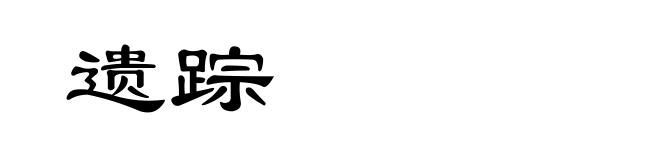 遗踪