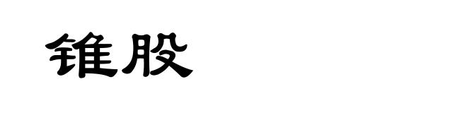 锥股