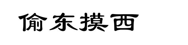偷东摸西