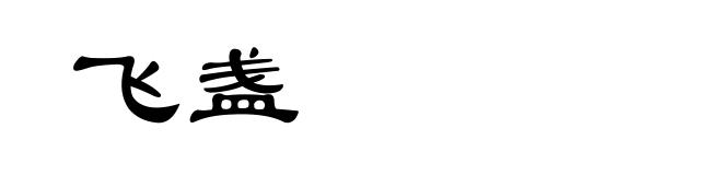 飞盏