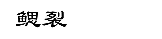 鳃裂