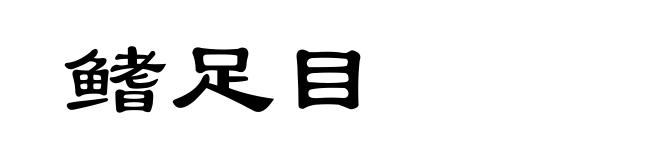 鳍足目